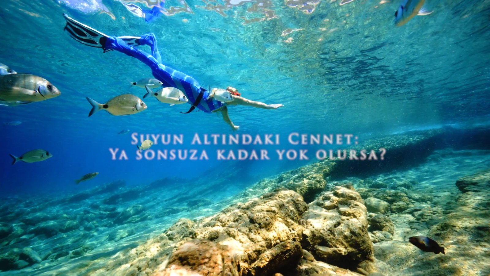 Deniz Kızı’nın Denizaltı Günlüğü ve Suyun Altındaki Hafıza Defteri & Melike Esra KARAYEL